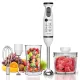 AFRA Japan Hand Blender Set, Multiple Speed Settings, Stainless Steel, Multiple Attachments, 600W, Chopper, Mixing Cup, Whisk, G-Mark, ESMA, RoHS, CB, 2 years warranty