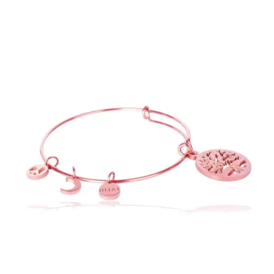 AFRA CHARM ROSEGOLD STAINLESS STEEL BRACELET